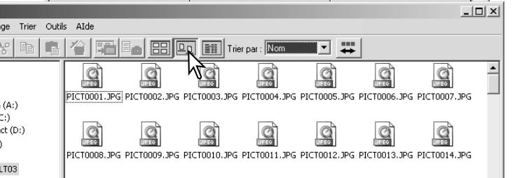 MINOLTA DIMAGE VIEWER 2.3 - Modification du format d'affichage - 4