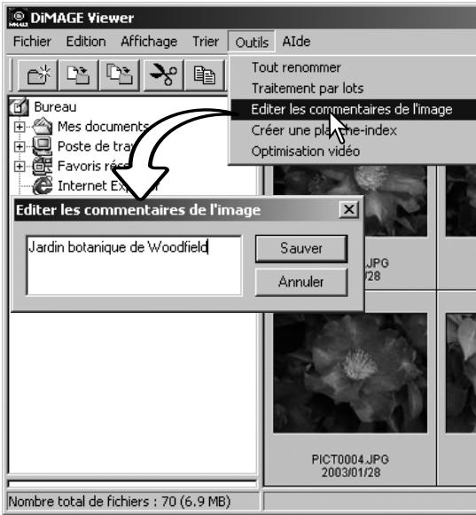 MINOLTA DIMAGE VIEWER 2.3 - Éditer les commentaires d'une image - 1