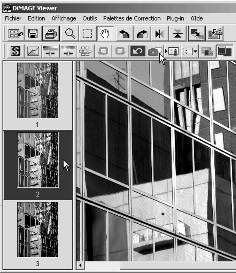 MINOLTA DIMAGE VIEWER 2.3 - Délimitation de zone - Enregistrer ou imprimer une partie d'image - 3