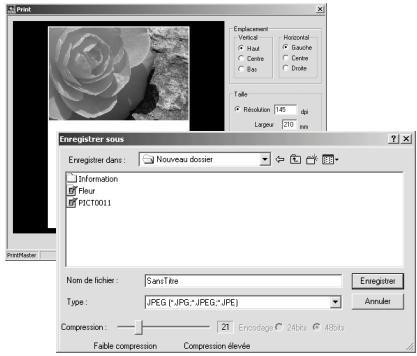 MINOLTA DIMAGE VIEWER 2.3 - Délimitation de zone - Enregistrer ou imprimer une partie d'image - 2