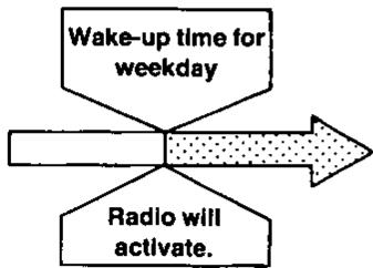 PANASONIC RC 6099 - Example - 1