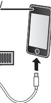 PANASONIC SC PMX100 - iPhone/iPad/iPod of USB-apparaat - 1
