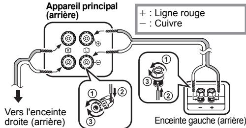 PANASONIC SC PMX100 - Raccorder les enceintes. - 1