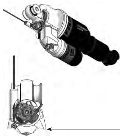 SCOTT SPARK - Important - 4