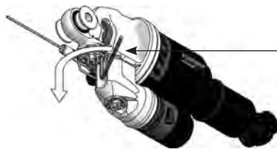 SCOTT SPARK - Important - 3