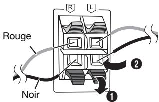PANASONIC SCPM602 - Raccordements - 3