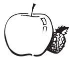 PANASONIC SD 2500 - Frutos frescos, frutas conservadas en alcohol - 1