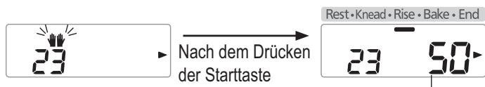 PANASONIC SD 2500 - Wenn der Piepton ertönt, wird weitere Butter hinzugeführct, drücken Sie dann die 'Start' erneut. - 1
