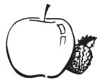 PANASONIC SD 2500 - Frutta fresca, frutta sotto spirito - 1