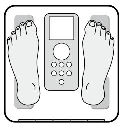 TANITA BC-351 - So erhalten sie genaue messwerte - 1