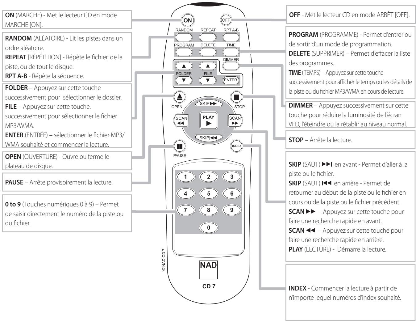 NAD C516 BEE - ATTENTION! - 1