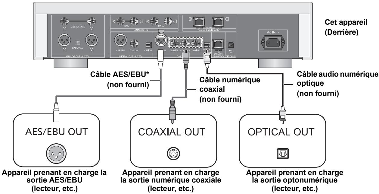 PANASONIC SUR1AE - Branchement aux dispositifs de sortie audio numérique - 1