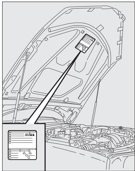 ALFA ROMEO 159 2010 - SYMBOLOGIE - 1
