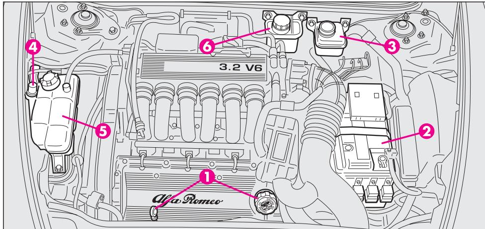 ALFA ROMEO GT 2008 - VERIFICATION DES NIVEAUX - 5