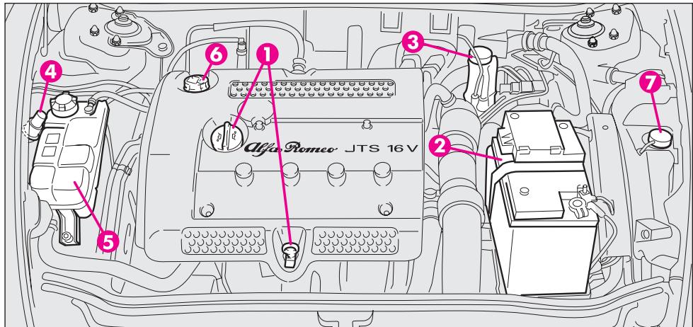 ALFA ROMEO GT 2008 - VERIFICATION DES NIVEAUX - 4