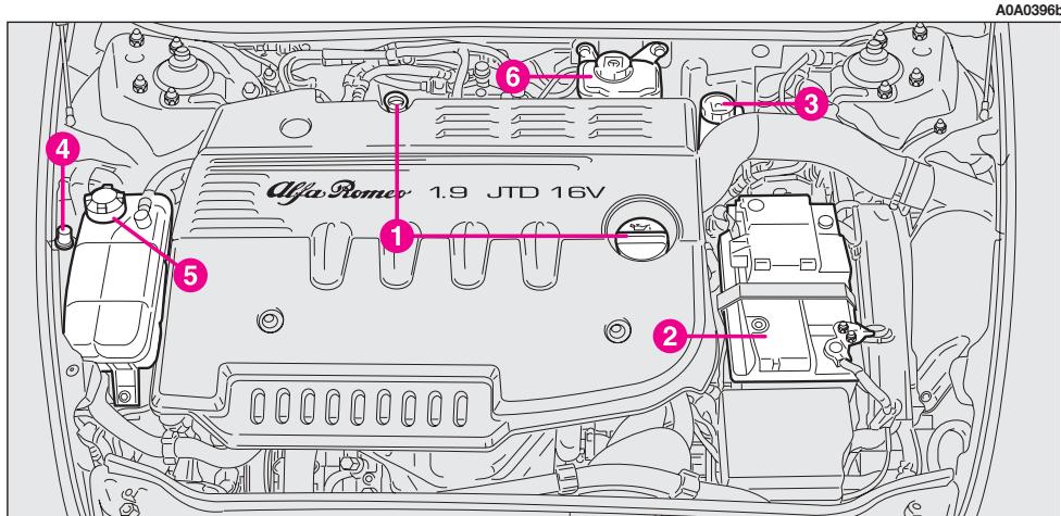 ALFA ROMEO GT 2008 - VERIFICATION DES NIVEAUX - 6