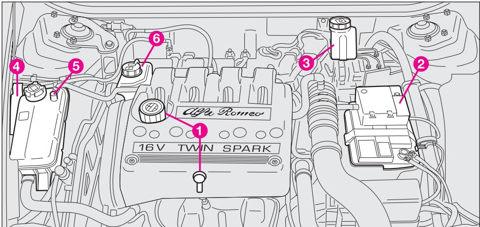 ALFA ROMEO GT 2008 - VERIFICATION DES NIVEAUX - 3