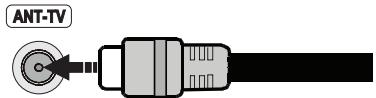PANASONIC TX-40CX300E - Branchement de l'antenne - 1
