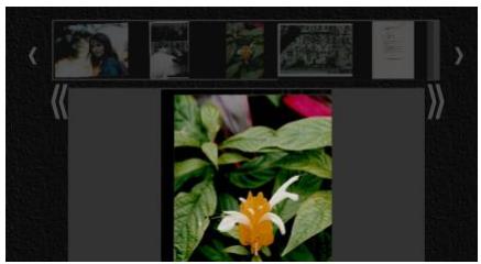 IRIS CAN PRO 3 WIFI - Access the Scanned Image through Wifi - 4