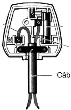 YAMATA SURJETEUSE MOD. FY14UAD - Conserver ces instructions - 1