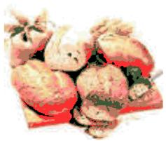 PRIVILEG XBM 338 - Pain blanc ordinaire - 2