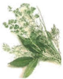 PRIVILEG XBM 338 - Pain croustillant - 1