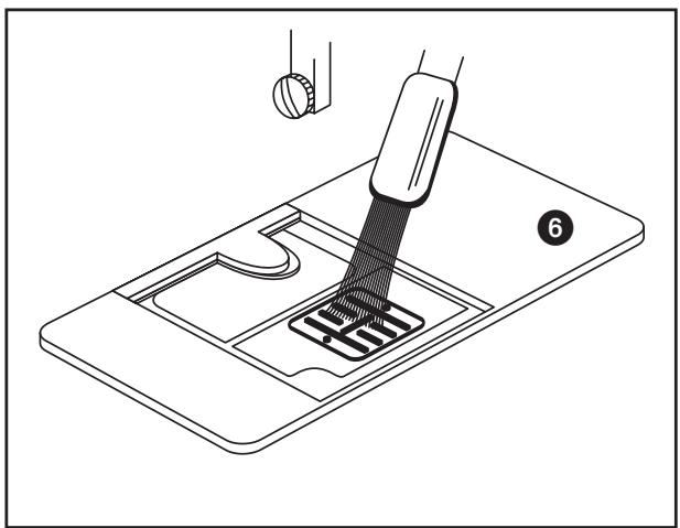 EBENCH E-2073 - s) Fadenschneider - 4