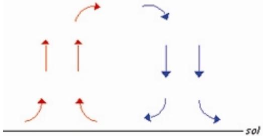 PUR LINE HAYDEN - Fonctions - 16