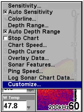EAGLE SEACHARTER 642CDF IGPS - Personnaliser I'Ecran de Données Numériques - 1