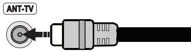 PANASONIC TX48CX400E & TX-48CX400E - Parte trasera inferior del televator - 1