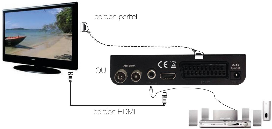 OPTEX HD 8900 - Connexion à votre téléviseur : - 1