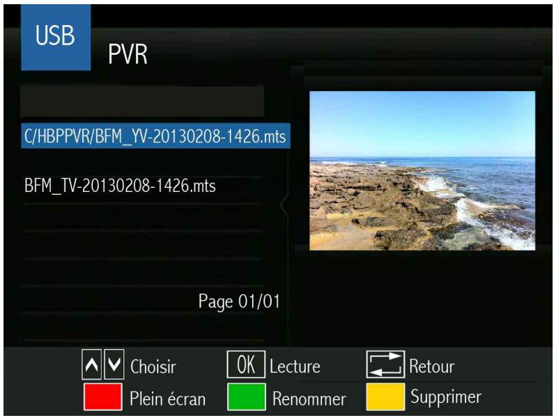 OPTEX ORS 9989-HD - LE SOUS MENU USB (PVR/Unité externe) - 1