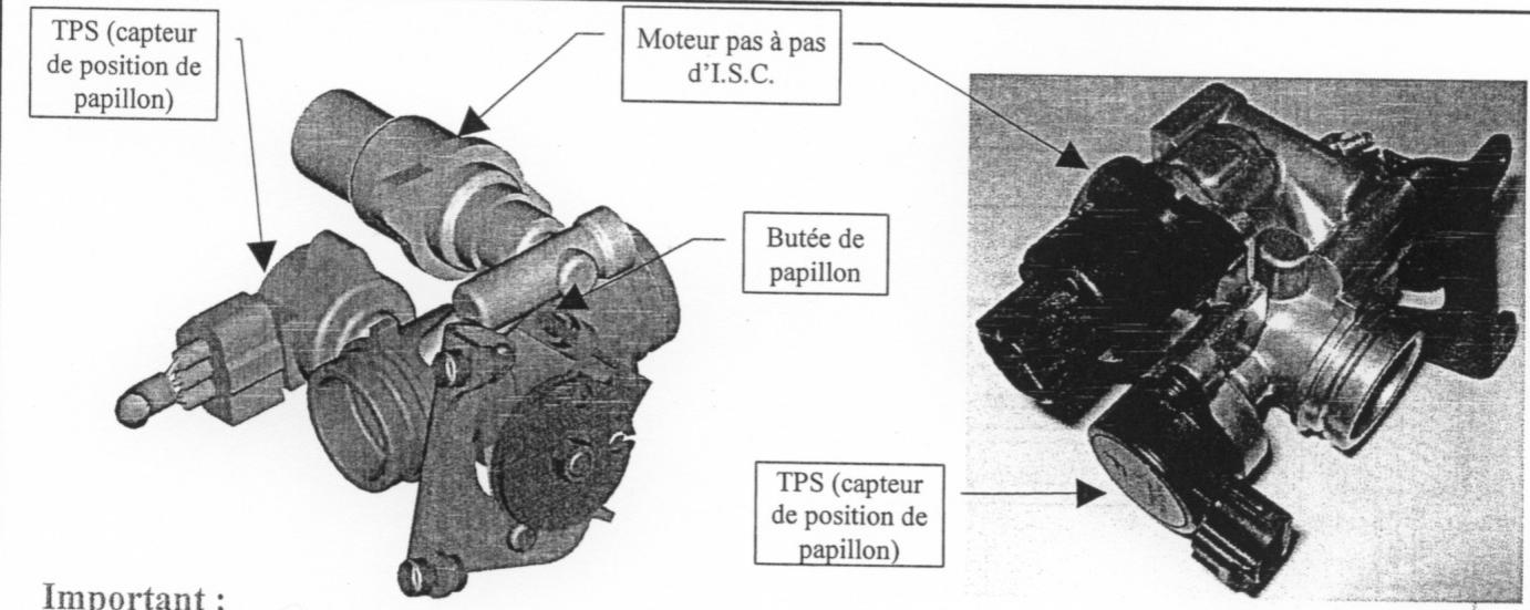 MBK SKYCRUISER - CORPS DE PAPILLON - 1