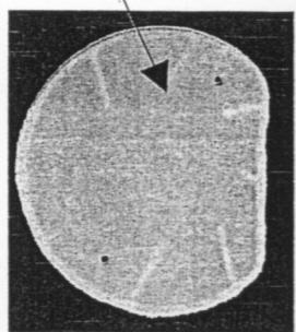 MBK SKYCRUISER - FILTRE DE TRANSMISSION - 1