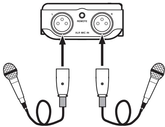 TASCAM DR-100 - Enregistrement par des micros externes (XLR) - 1