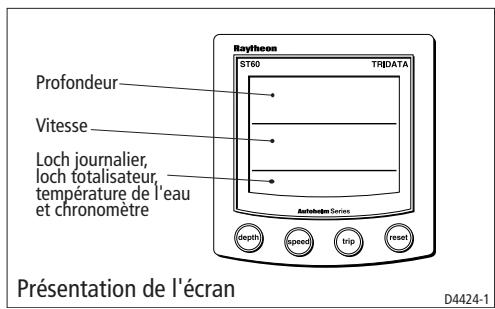 RAYMARINE ST60 - Information affichée - 1