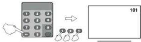 NESX NE-4201 - MODE TELEVISION - 4