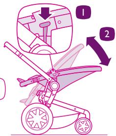QUINNY BUZZ - Xpno - 8