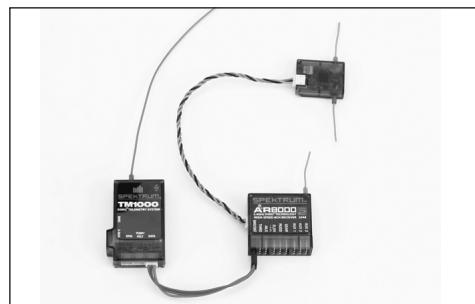 SPEKTRUM DX8 - Failsafe Pre-establishido - 1