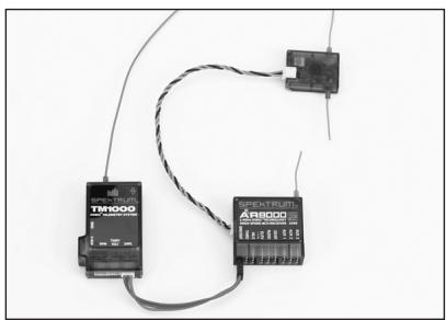 SPEKTRUM DX8 - AVVERTENZE DI NESSUNA USCITA RF - 1
