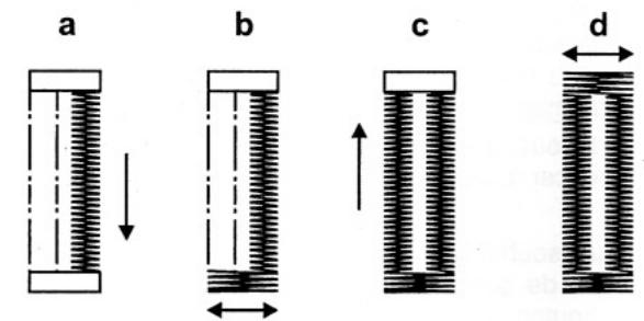 EUREKA 8513 - LA BOUTONNIERE - 3