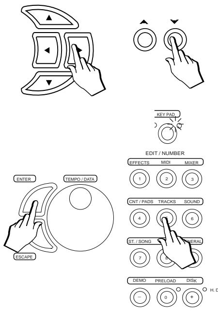 PEAVEY WK760 - SAISIE DE DONNÉES - 2