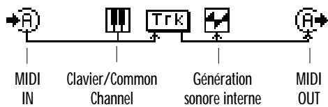PEAVEY WK760 - Icène MIDI OUT - 2