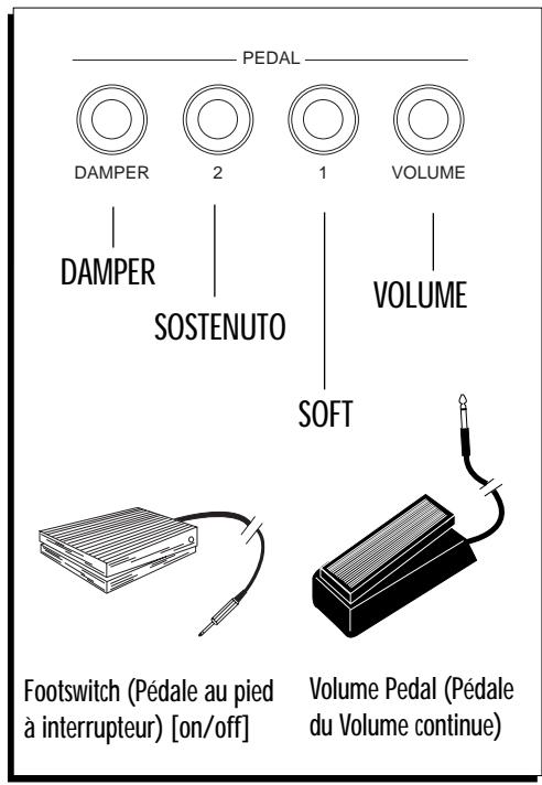 PEAVEY WK760 - UTILISER LES PÉDALES - 1