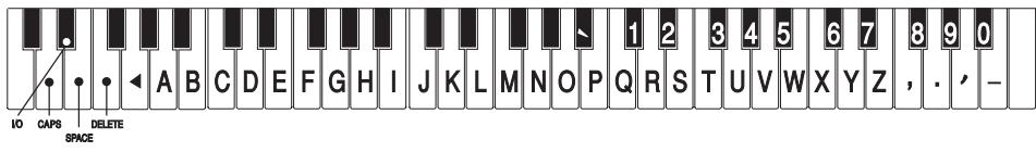 PEAVEY WK880 - SAISIE DU TEXTE - 1