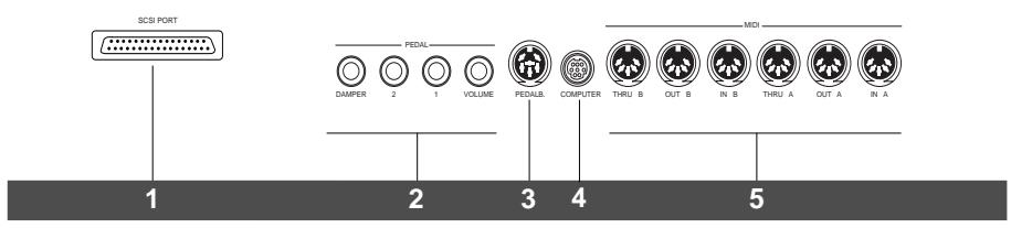 PEAVEY WK880 - PANNEAU ARRIÈRE (CONNEXIONS) - 2