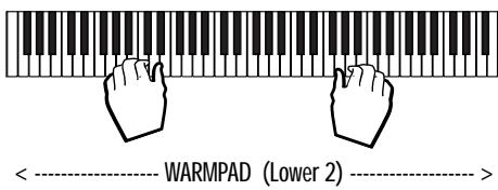 PEAVEY WK880 - LA TOUCHE SOLO - ISOLATION D'UN SON UNIQUE - 4