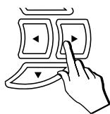 PEAVEY WK880 - 3/4 - 10