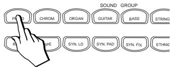 PEAVEY WK880 - MAINTIEN DE L'AFFICHAGE LORS DES PROCÉDURES DE SELECTION - 1