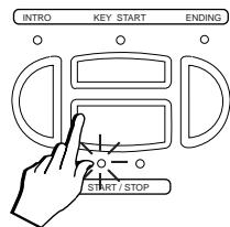 PEAVEY WK880 - JOUEZ EN MÉME TEMPS QUE LE MORCEAU ENREGISTRÉ - 2